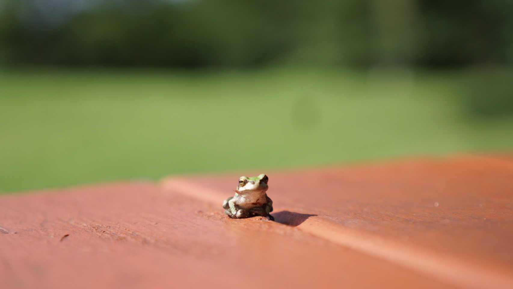 image_e1a82b4